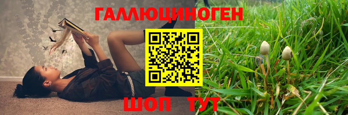 Галлюциногенные грибы мухоморы Дятьково